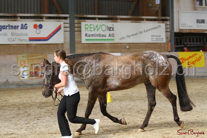 24-ApHC HIH_102.jpg